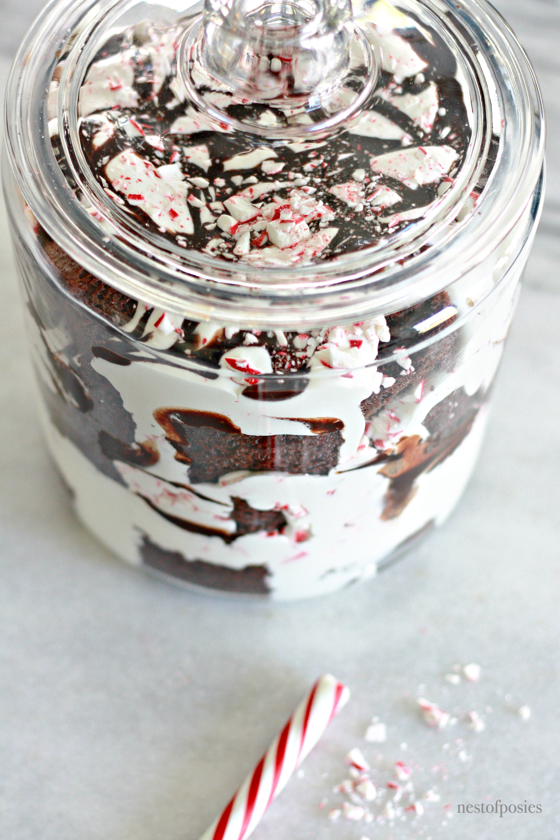 So Delicious Chocolate Peppermint Trifle Nest Of Posies 2190